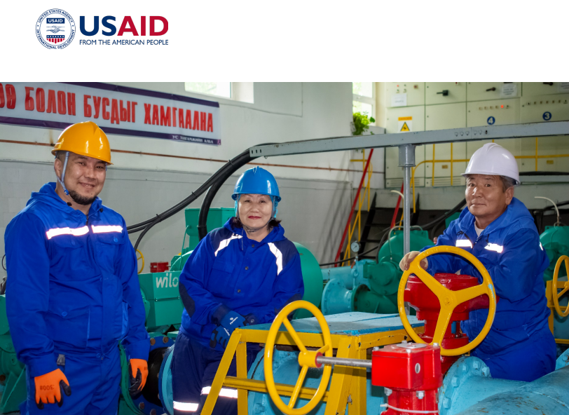 USAID-Developing a Business Case