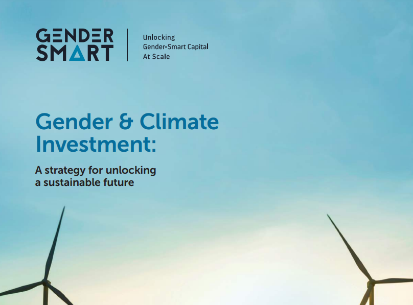 gender-and-climate-investment