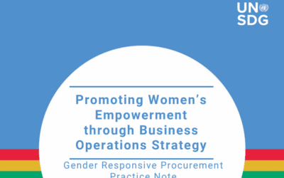 United Nations Sustainable Development Group (UNSDG) – Promoting Women’s Empowerment Through Business Operations Strategies