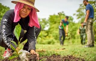Gender Responsive Procurement: A Solution for Women’s Empowerment and Climate Mitigation