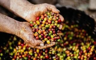 Building a Gender-Inclusive Coffee